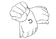 Bend the wrist forwards, backwards and side to side.