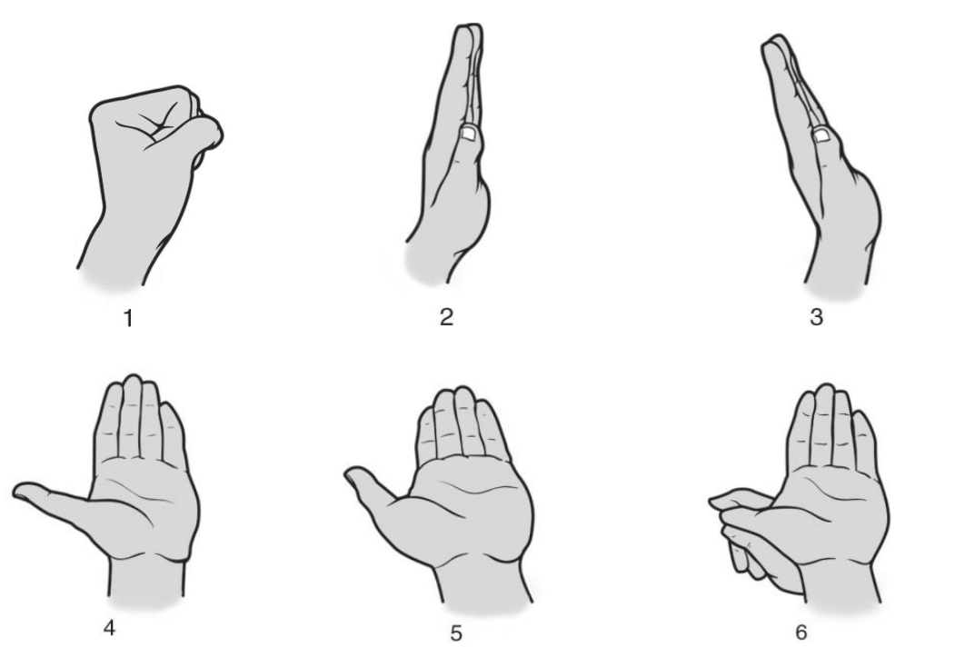 Six hand positions in sequence, moving from a fist to an open hand with the wrist and thumb progressively stretched back.