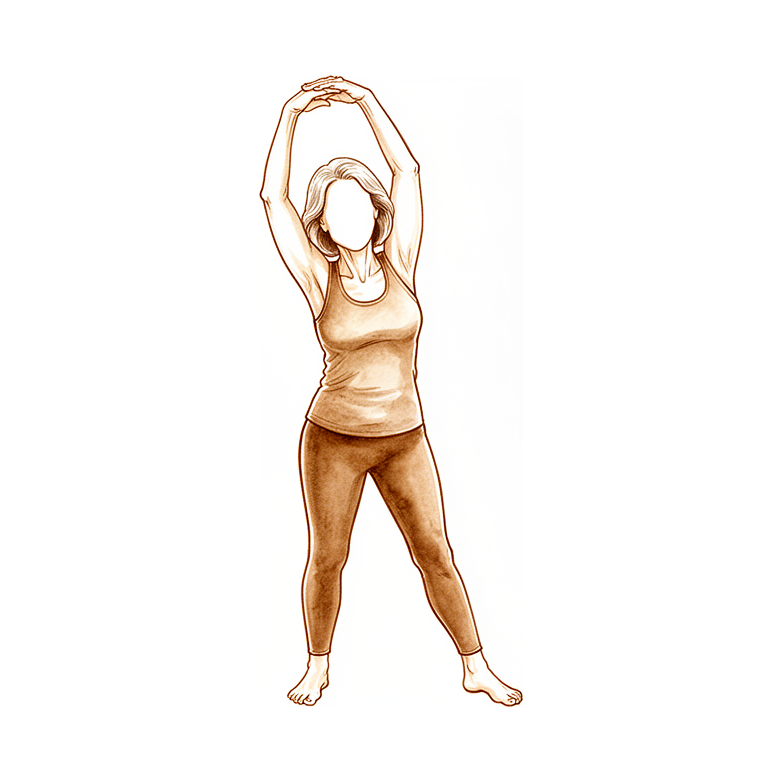 Síndrome Musculoesquelética da Menopausa