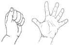 Make a fist, then open the hand fully.