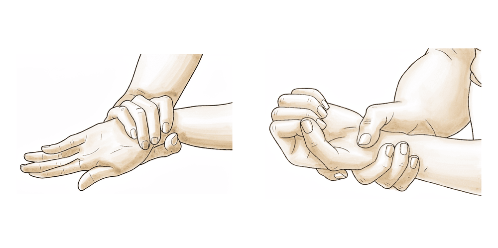 Elbow tucked to the side, forearm rotating the palm up then palm down.