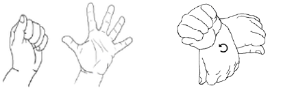 Make a fist and open the hand; move the wrist forwards, backwards and side to side.