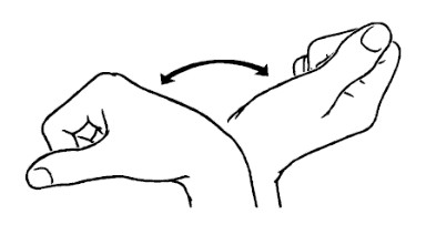 Bend the wrist forward and back.