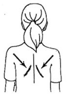 Squeeze the shoulder blades down and together.