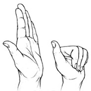 Make a fist, then open the hand.