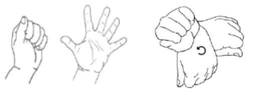 Open and close the hand, and move the wrist in all directions.